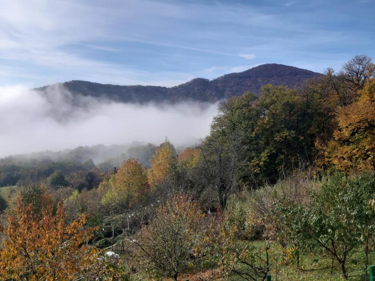 Villa Kuca Za Odmor Poljanica Okicka Jastrebarsko Esterno foto