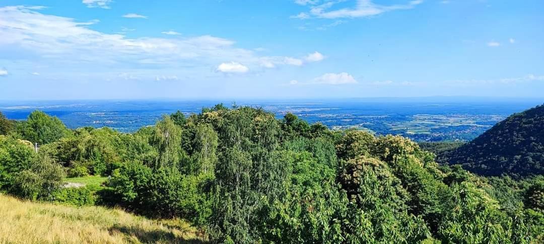 Villa Kuca Za Odmor Poljanica Okicka Jastrebarsko Esterno foto