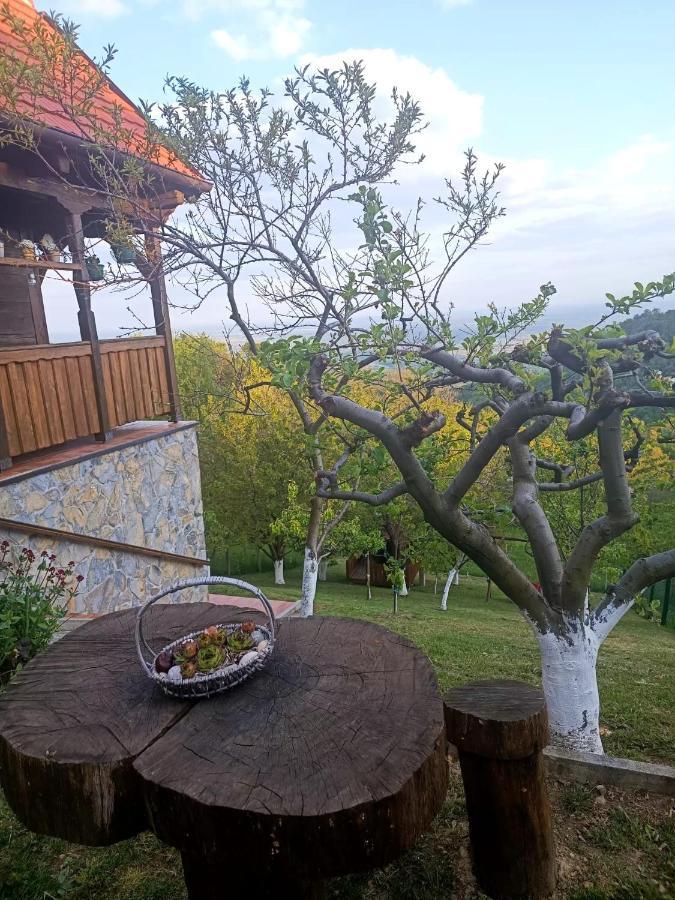 Villa Kuca Za Odmor Poljanica Okicka Jastrebarsko Esterno foto