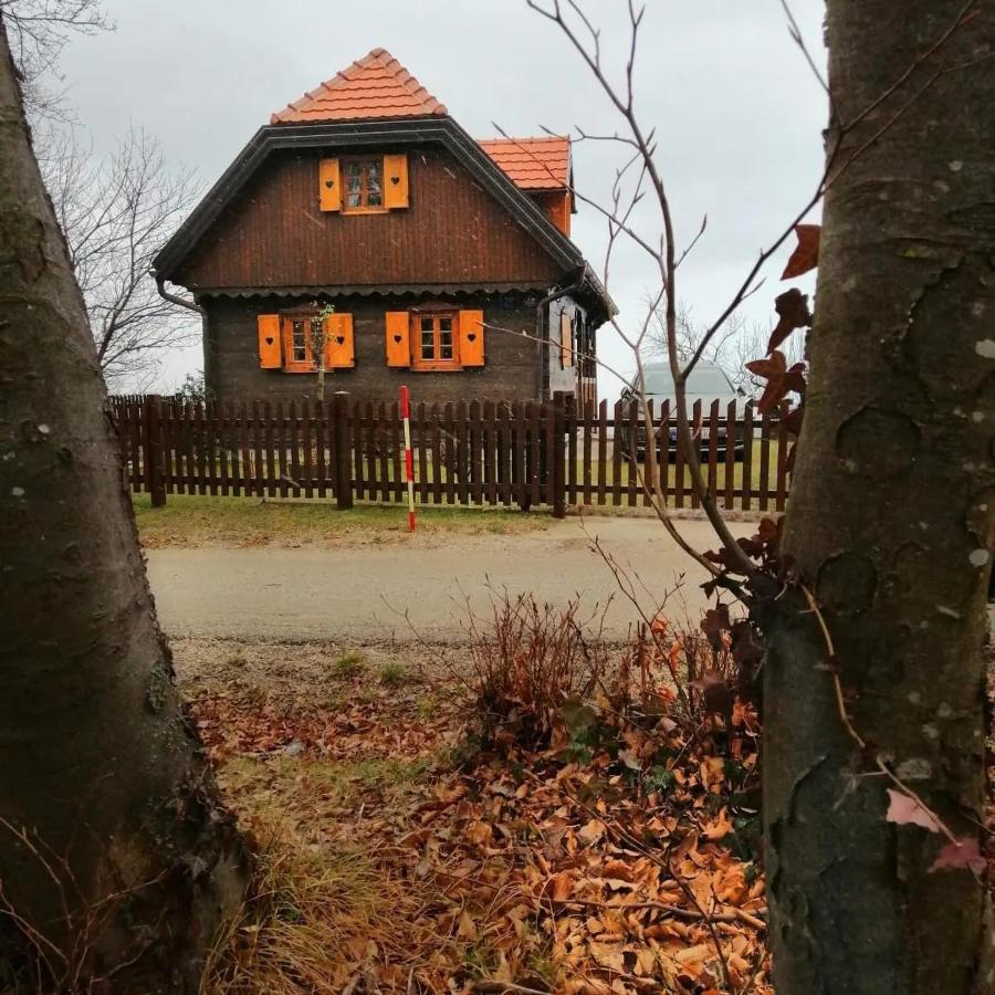 Villa Kuca Za Odmor Poljanica Okicka Jastrebarsko Esterno foto
